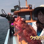 南伊勢町中津浜の船のタイラバ（2018年6月9日放送）